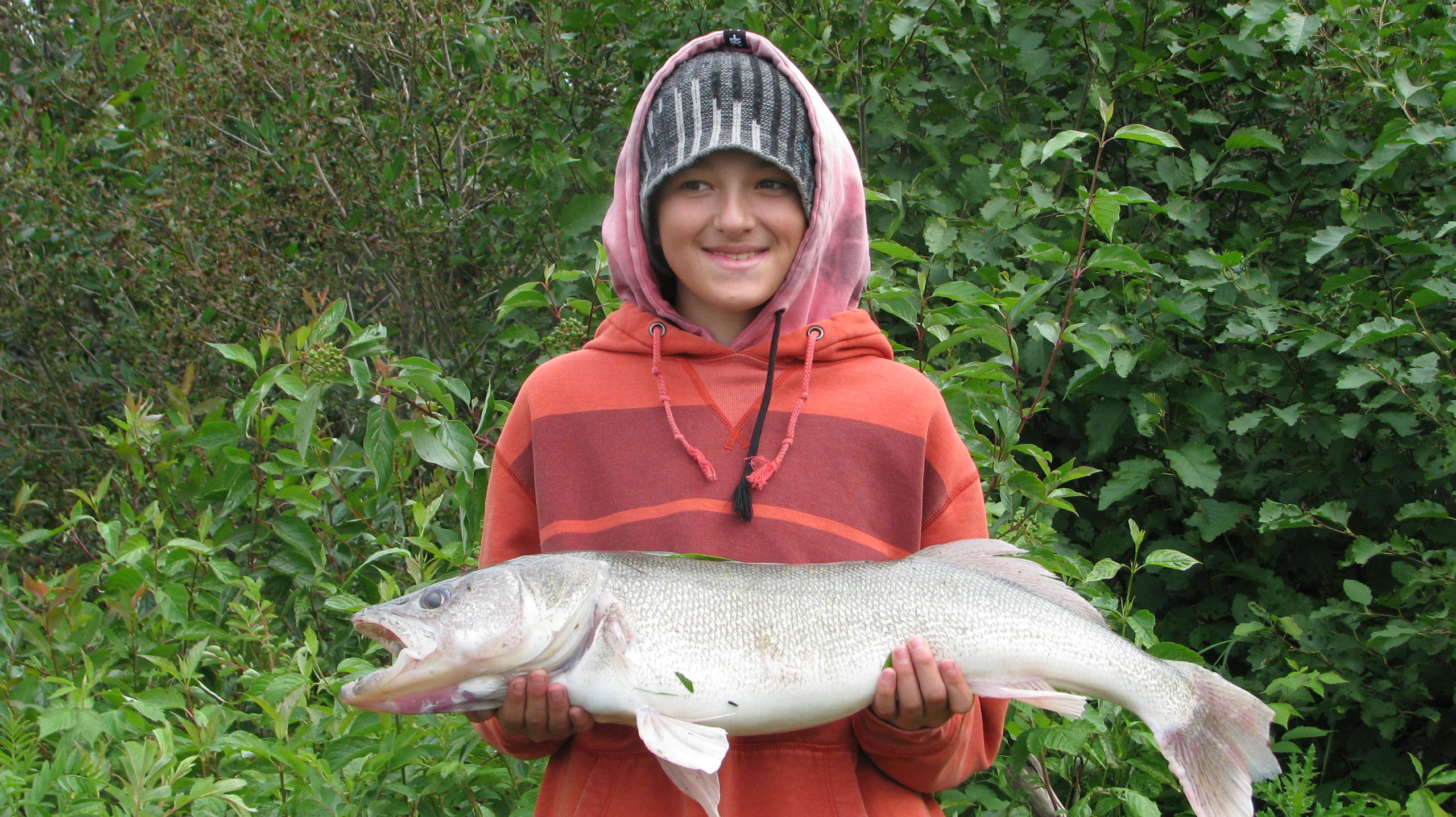 Fishing Info for the Athabasca Region