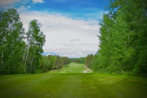 golf course set in the forest with a blue sky