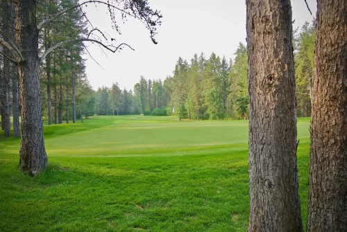 scene of trees and golf fairway with green in the distance
