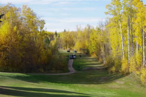 fall scene on golf course with trees on both sides of fairway