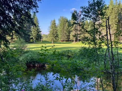scene of a golf course hole overlooking a pond