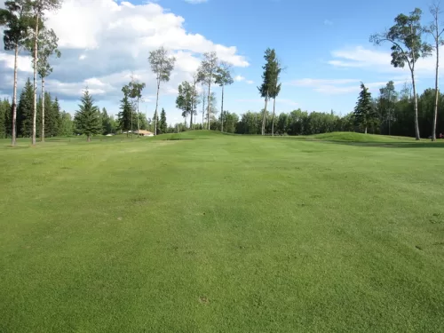 view of golf fairway with some sparse trees at the end